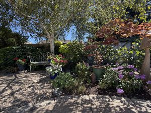 Garden- click for photo gallery
